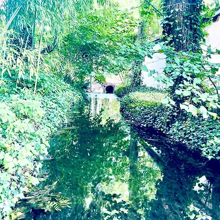Edouard - 180m2 In Nature & Forest - 20min - 7min Airport Claye-Souilly