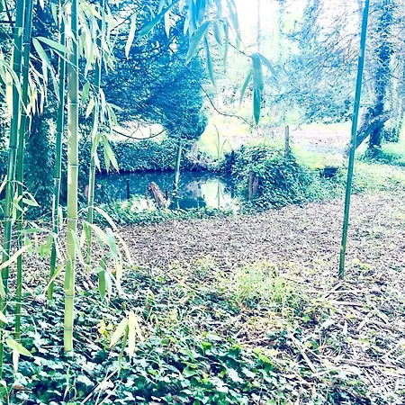10-14 Guests - 180m2 - Private Forest - Cdg 7min - 20min *