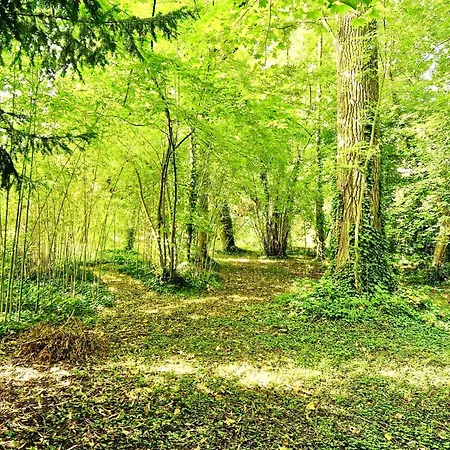 Edouard - 180m2 In Nature & Forest - 20min - 7min Airport