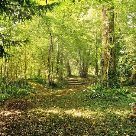 10-14 Guests - 180m2 - Private Forest - Cdg 7min - 20min * Claye-Souilly